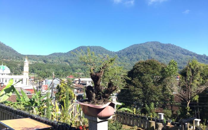Ayudia Camp Bali