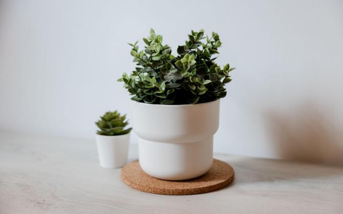 Montagnola Mini House