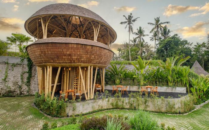 Jungleight Bali