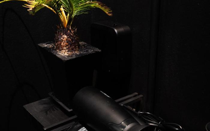 NIN • Sane Private Room