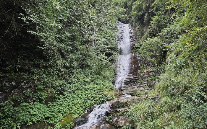 Vine Hills Manali