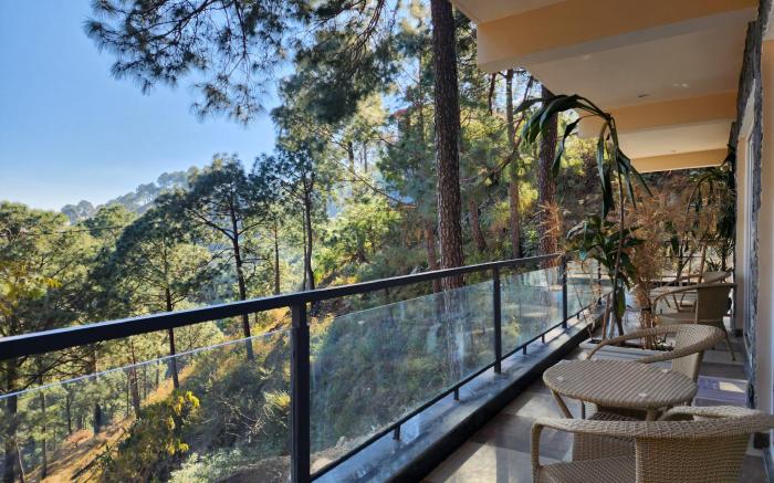 The Hamilton Kasauli