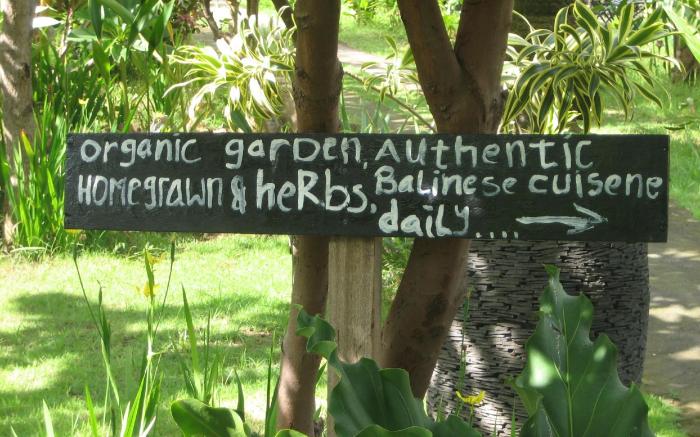 Amed Harmony Cafe and Bungalows