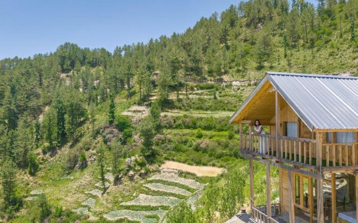 Bastiat Stays | The Winding Willow Cottage