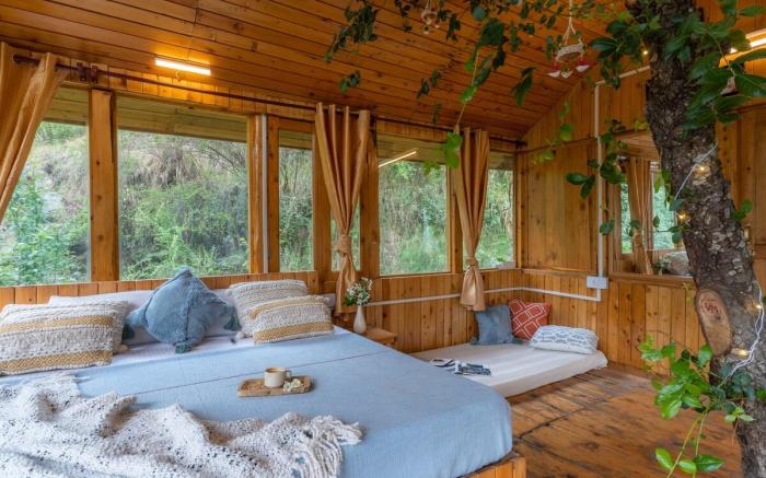 Bastiat Stays| Magnificent Treehouse| Valley View