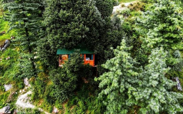 Bastiat Stays | Whispering Pines Cottages| Treehut