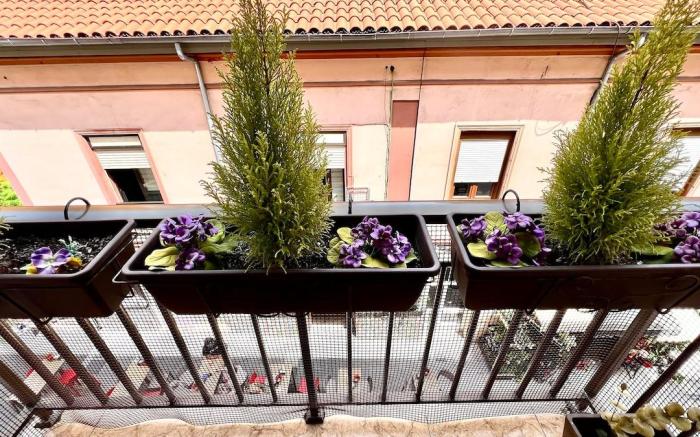 Centro y Confort by Wehomes