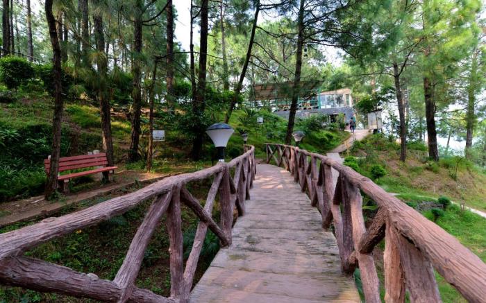 Kasauli Hills Resorts