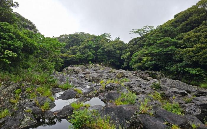 Saewatdaek Stay (1st branch)