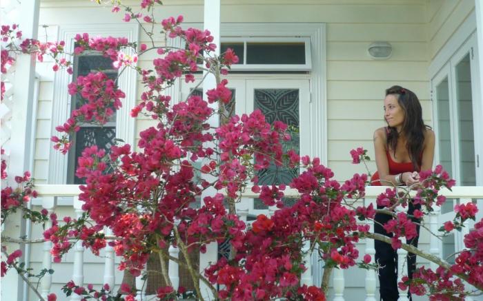 The Great Ponsonby Art Hotel Bed and Breakfast