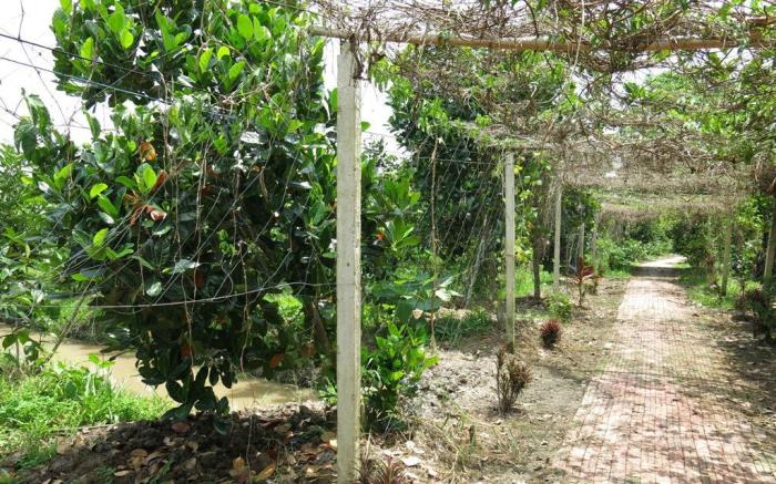 Le Garden Villa Homestay