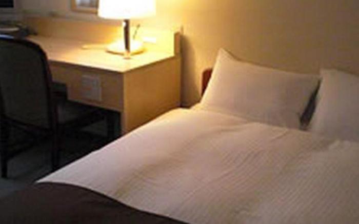 Kagoshima Daiichi Hotel Kamoike