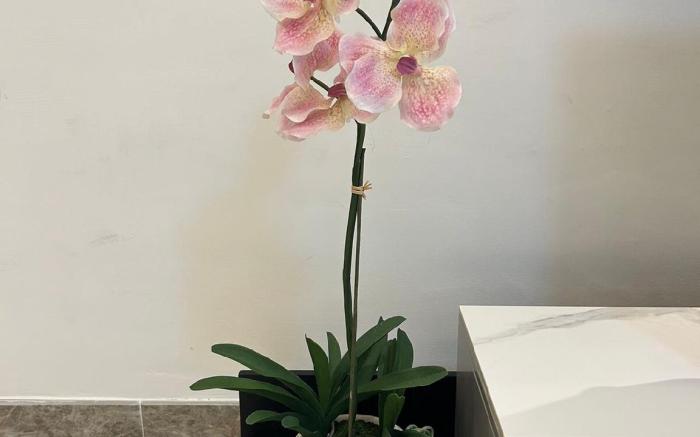 R&F 2Bedroom 2Bathroom By Wan Li Homestay