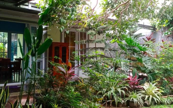 Latar Amba Guest House