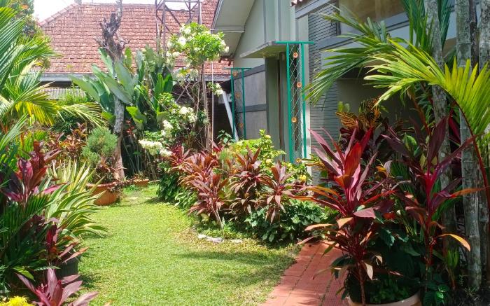 Latar Amba Guest House