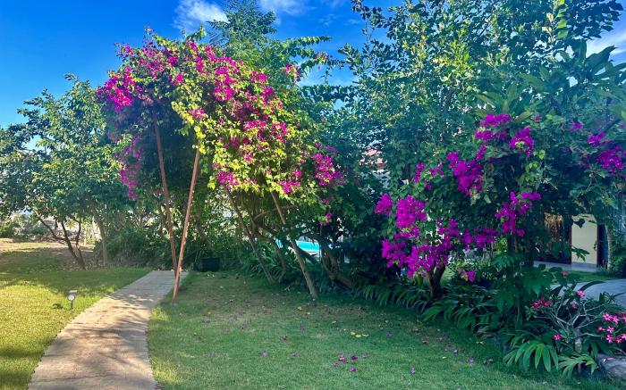 sanur ocean view villas