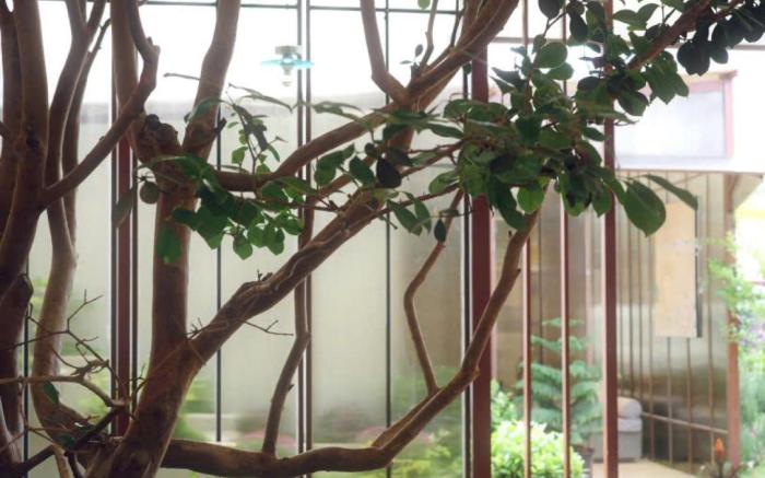 Le Macaron Garden Stay 