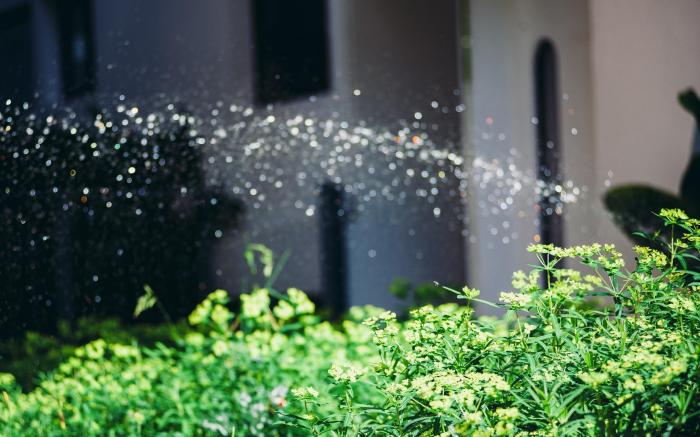 D’Mai Xanh Boutique Hotel Da Lat