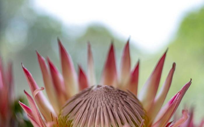 Luxury Eco Home with Garden Cottage - HoutBay