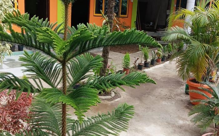 Mountain Retreat Ecostay Kalimpong