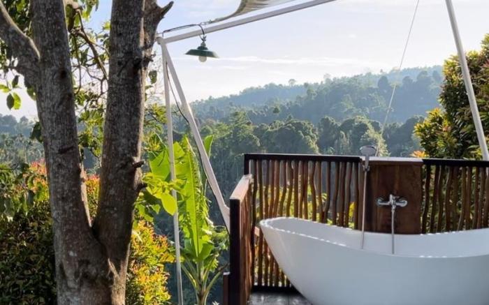 Luxury Tent in The Middle of Nature