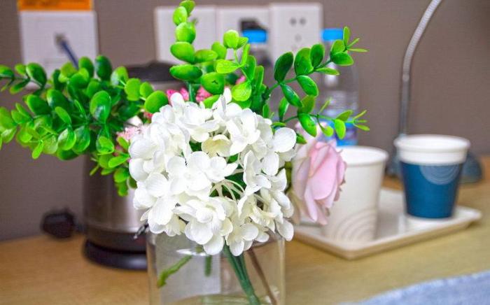 Home Inn Beijing Mentougou Shuangyu Roundabout