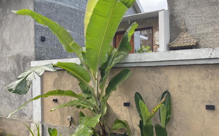 Pranajaya loka  villa