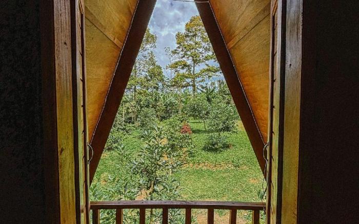 Sanda Eco Cabins by AGATA