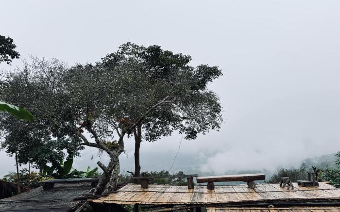 See mont slow bar and farm stay Doi chang