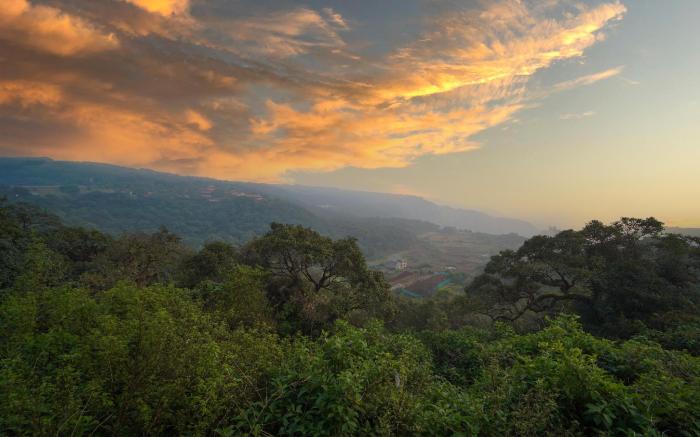 Indira Nature Valley
