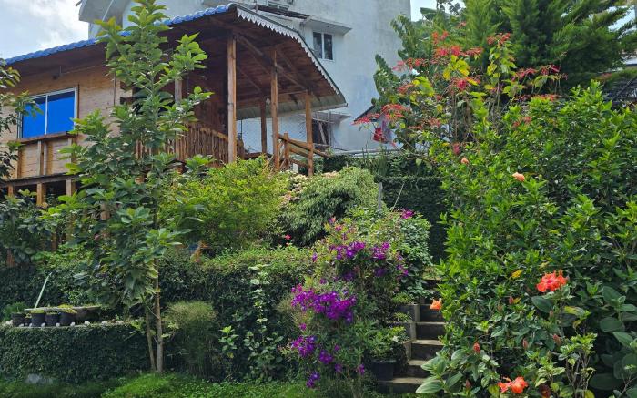 Leaf colour homestays 