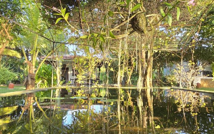 Ginger Harmony Guesthause and Café