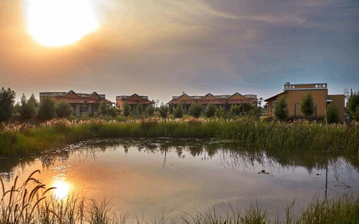 Blackbuck Safari Lodge Velavadar