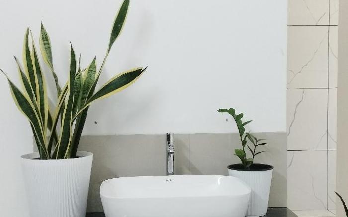 LITTLE HOME APARTMENT