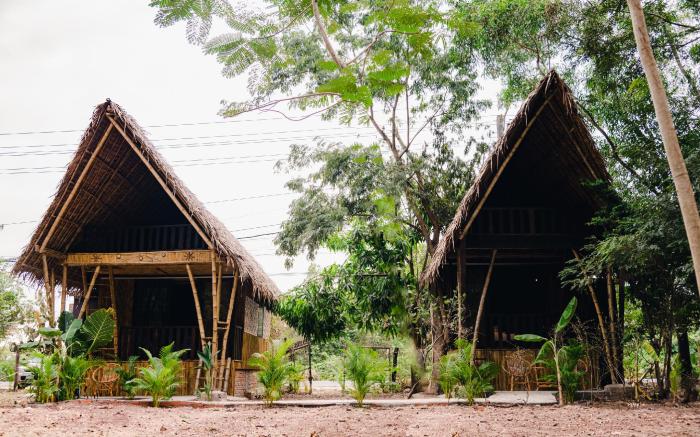 Banyan Tree Hostel