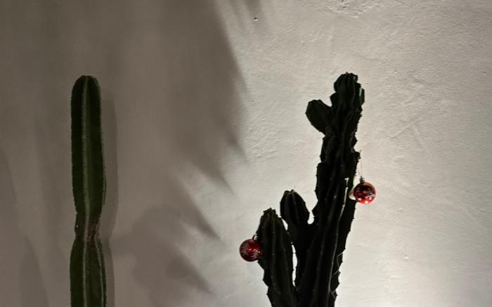 2 bedroom tropical Villa