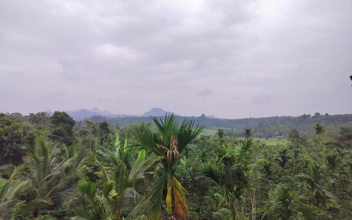 Roneys Villa