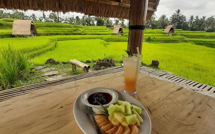 Swaha Retreat & Eco Park Ubud