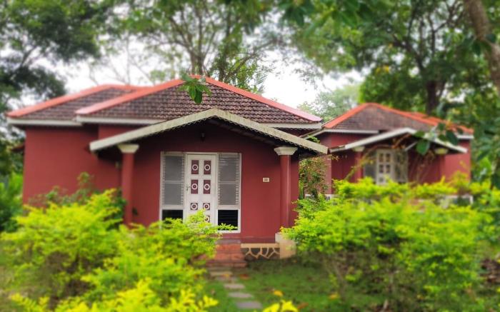 Dandeli Chalet
