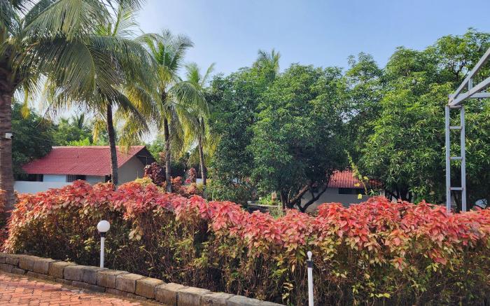 The Gir View Resort