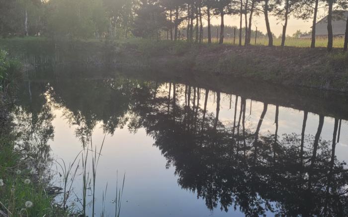DOMEK NAD STAWEM 