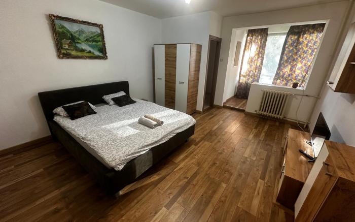 Central Apartment Circumvalatiunii