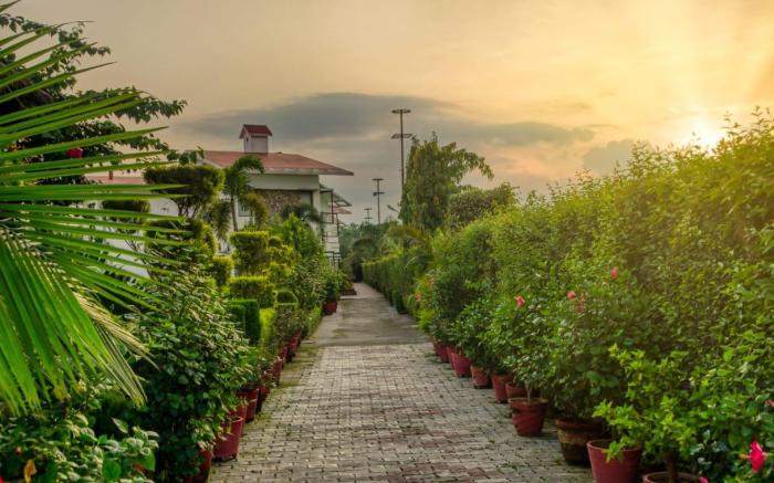 CORBETT SOLITAIRE RESORT