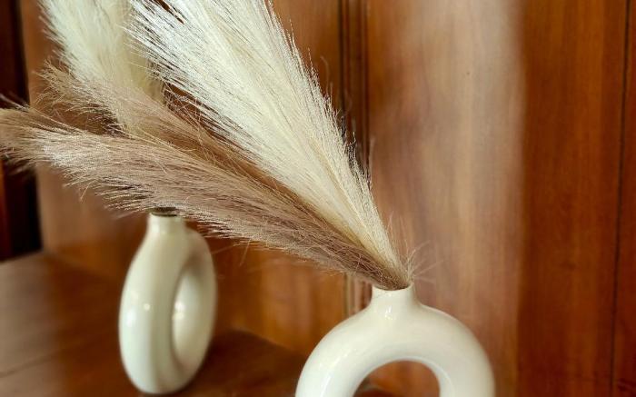 Plutus Luxury Boutique Stays