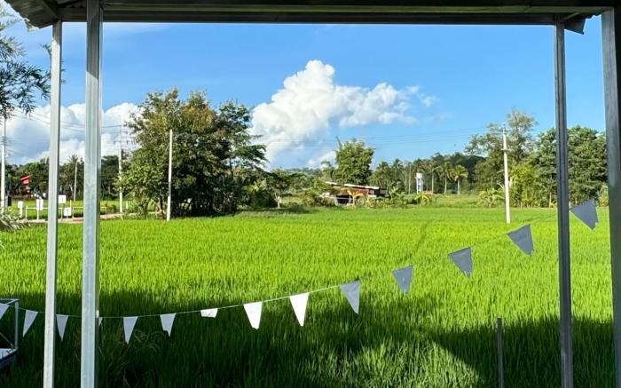 Baan puna