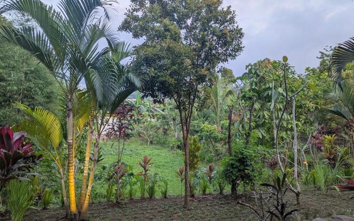 Bale´ Sebaya - Bungalow Cafe´ Nature