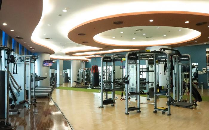 The Alpha Suites