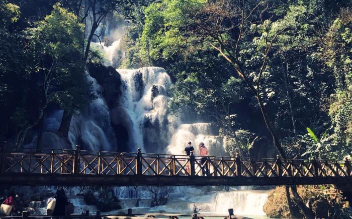 wisdom mystery hotel