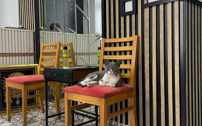 TAKSİM PARK SUİTES