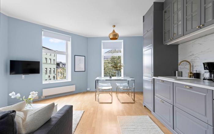 Bright and Modern apartment in heart of Oslo